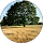Filippo Fior Caraffa’s Avatar